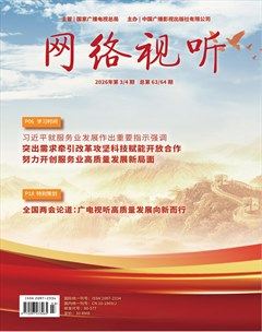 网络视听