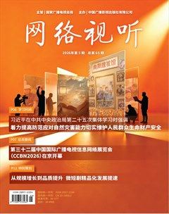 网络视听
