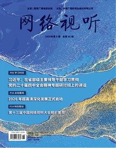 网络视听