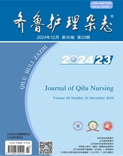 齐鲁护理杂志