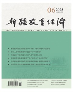 新疆農(nóng)墾經(jīng)濟