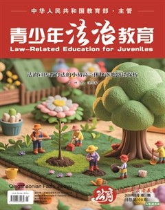 青少年法治教育