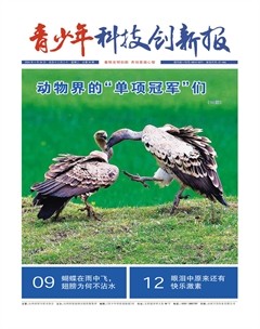 青少年科技创新报