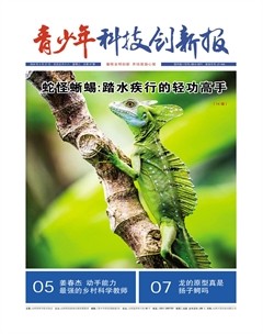 青少年科技创新报