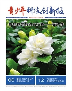 青少年科技创新报