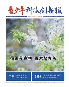 青少年科技创新报