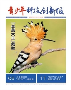 青少年科技创新报