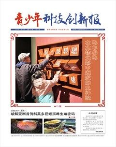 青少年科技创新报