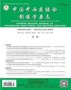 中國中西醫(yī)結(jié)合影像學雜志