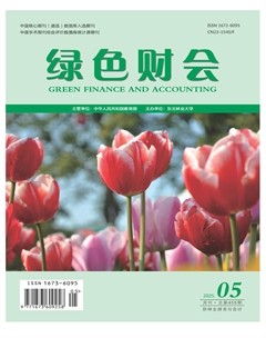 綠色財(cái)會(huì)