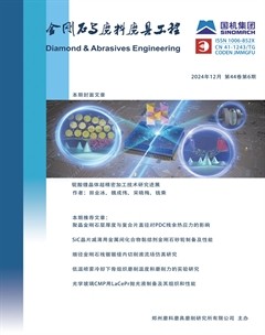 金剛石與磨料磨具工程