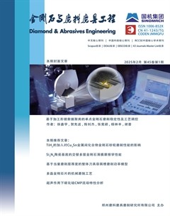金剛石與磨料磨具工程