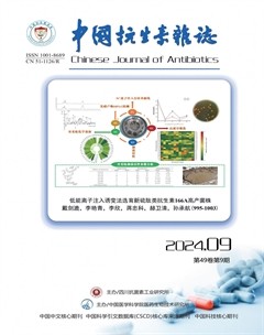 中國抗生素雜志