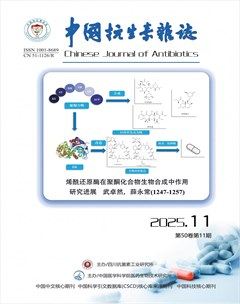 中国抗生素杂志