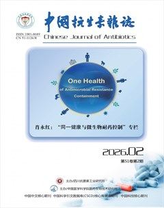 中国抗生素杂志