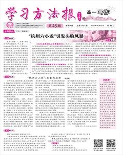学习方法报·写作（高一)
