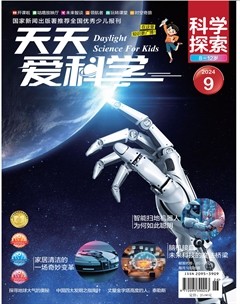 天天爱科学·科学探索