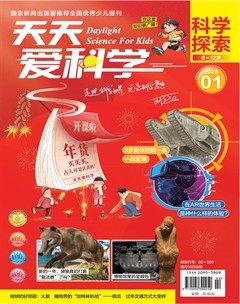 天天爱科学·科学探索