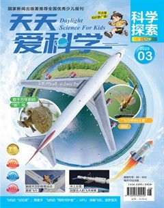 天天爱科学·科学探索