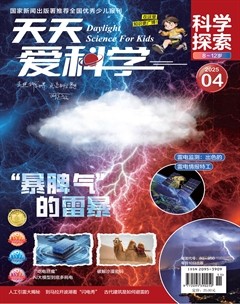 天天爱科学·科学探索