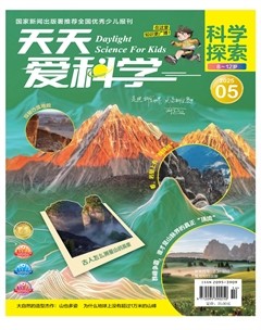 天天爱科学·科学探索