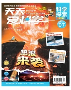 天天爱科学·科学探索