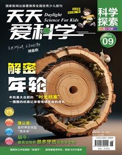 天天爱科学·科学探索