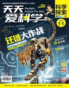 天天爱科学·科学探索