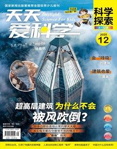 天天爱科学·科学探索