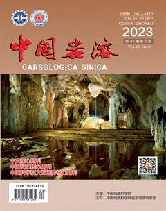 中国岩溶