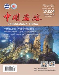 中国岩溶
