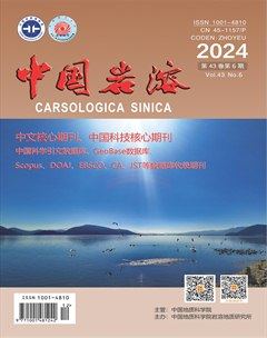 中国岩溶