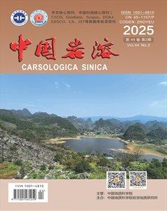 中国岩溶