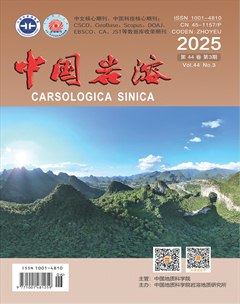 中国岩溶