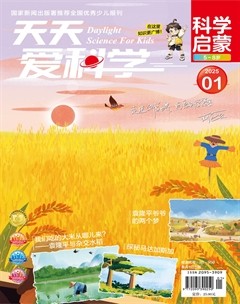 天天爱科学·科学启蒙