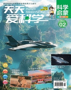天天爱科学·科学启蒙