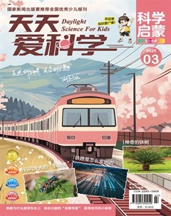 天天爱科学·科学启蒙