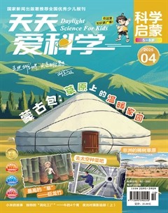 天天爱科学·科学启蒙