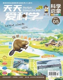 天天爱科学·科学启蒙