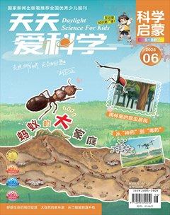 天天爱科学·科学启蒙
