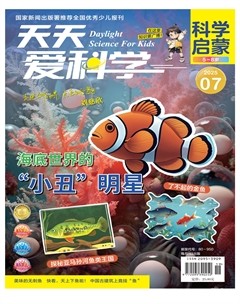 天天爱科学·科学启蒙