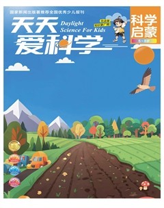 天天爱科学·科学启蒙