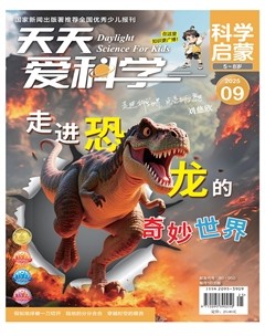 天天爱科学·科学启蒙
