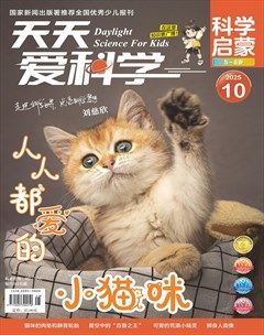 天天爱科学·科学启蒙