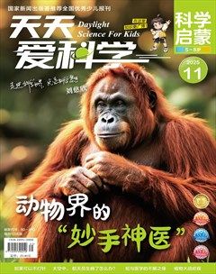天天爱科学·科学启蒙