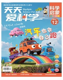天天爱科学·科学启蒙