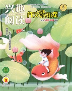 兴趣阅读·兴趣作文与阅读（高年级）