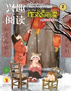 兴趣阅读·兴趣作文与阅读（高年级）