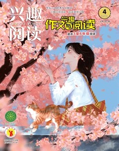 兴趣阅读·兴趣作文与阅读（高年级）