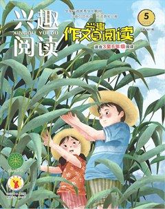 兴趣阅读·兴趣作文与阅读（高年级）